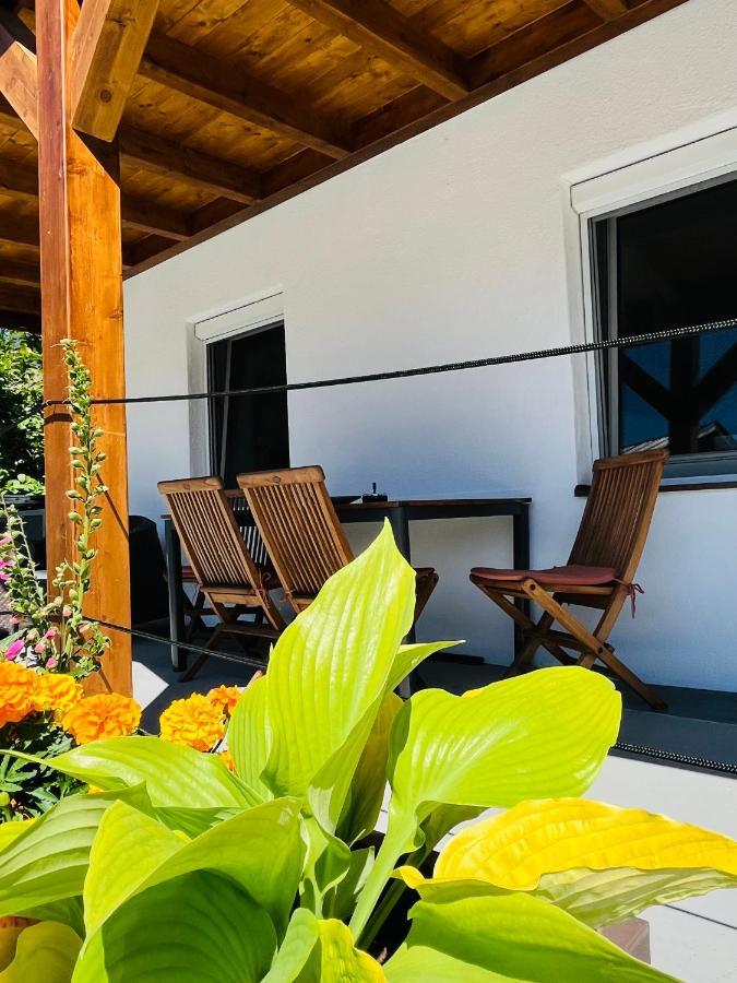 Appartement Seehof นาซเซอฮัท ภายนอก รูปภาพ